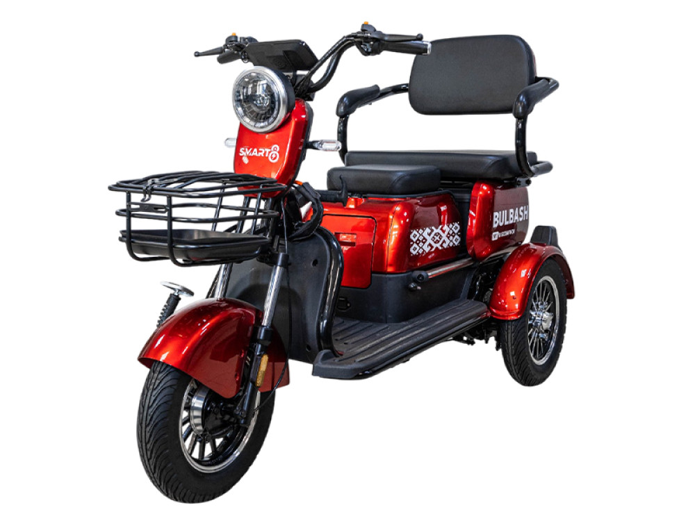 Smart8 BULBASH  фото-6