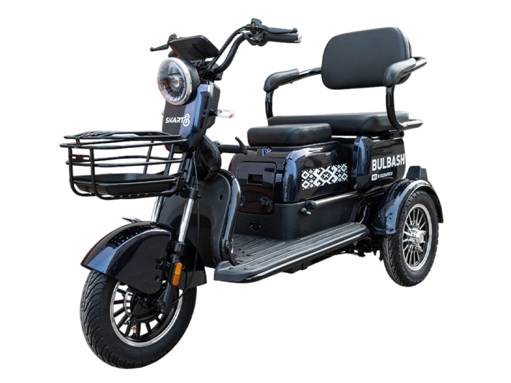 Smart8 BULBASH  - фото1