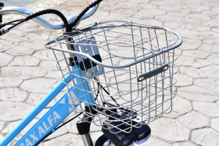 Terax Alfa- фото2